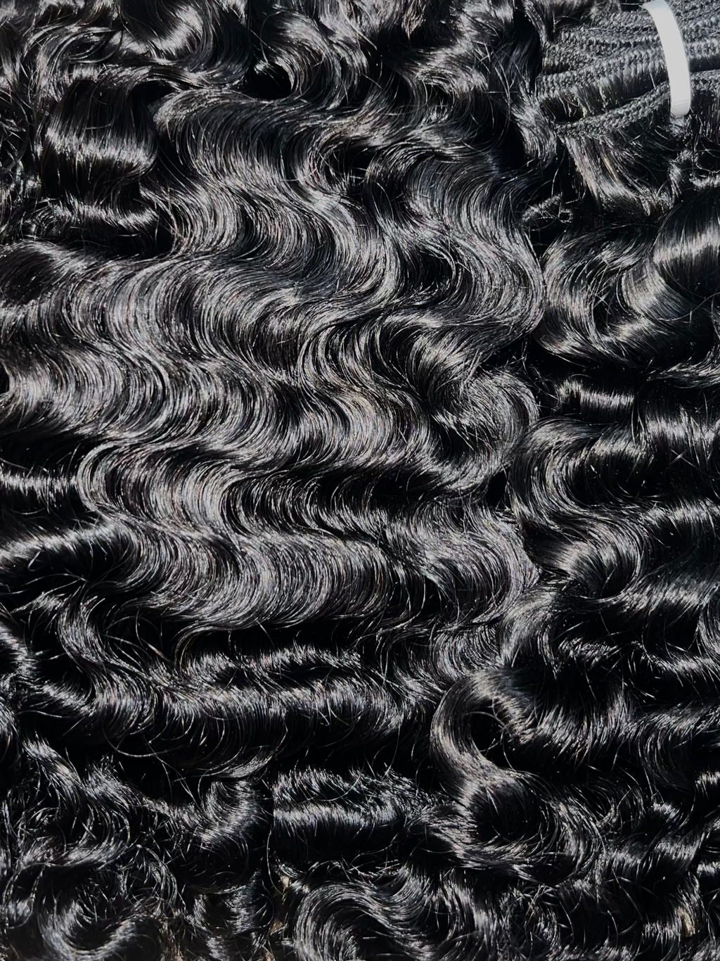 Burmese Virgin Bundles