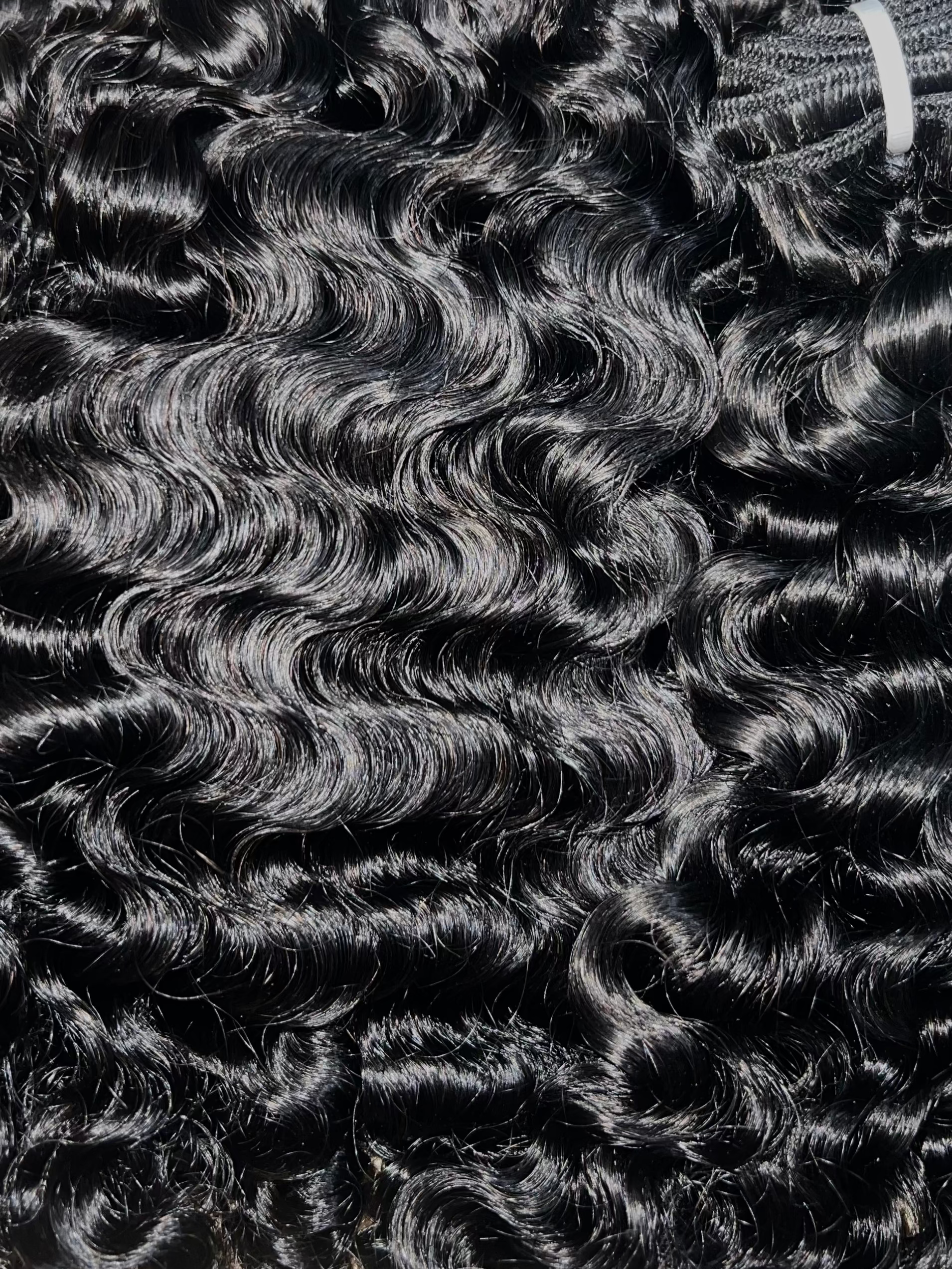 Burmese Virgin Bundles